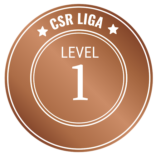 CSR Level 1
