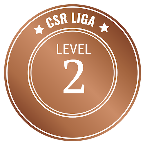 CSR Level 2