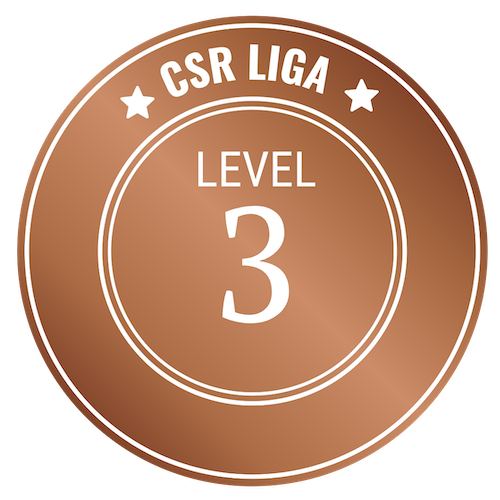 CSR Level 3