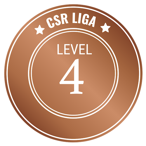 CSR Level 4