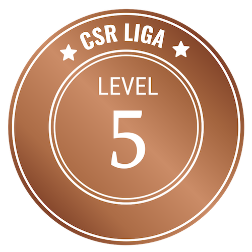 CSR Level 5