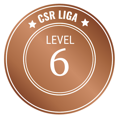 CSR Level 6