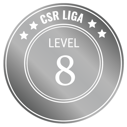 CSR Level 8