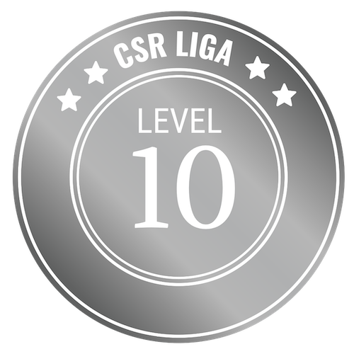 CSR Level 10