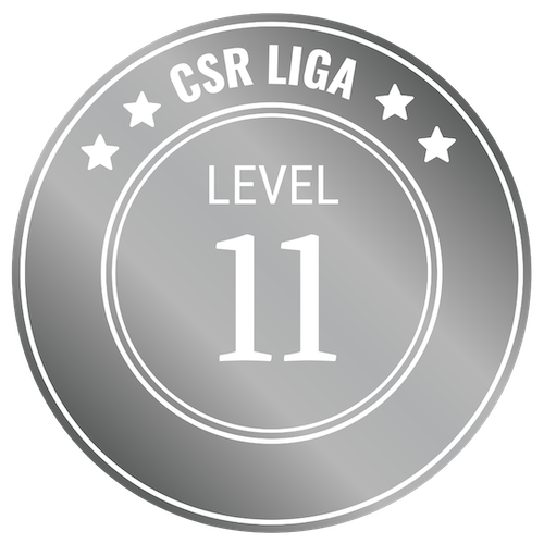 CSR Level 11