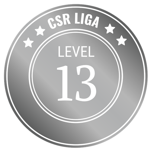 CSR Level 13